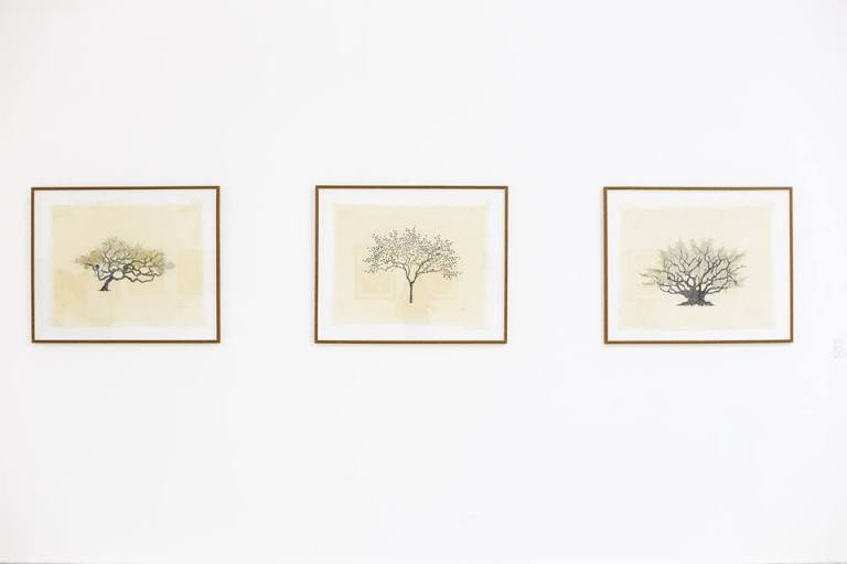 11047871_566788710139346_240189117445610577_n